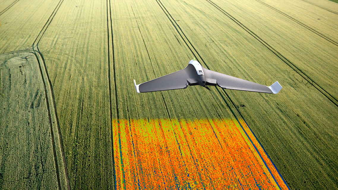 AGRICULTURA E PECUÁRIA |www.dronefilmagemaerea.com